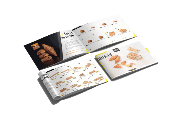 Catalog Download